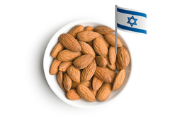 מבצע חגי תשרי - שקד ישראלי
