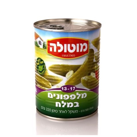 מלפפונים במלח 13-17
