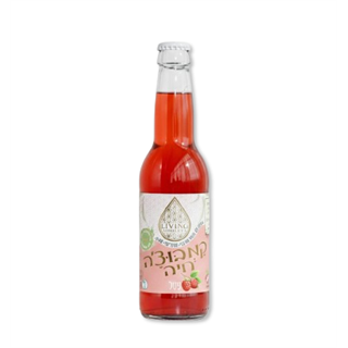 קמבוצה חיה משקה תה תוסס פטל