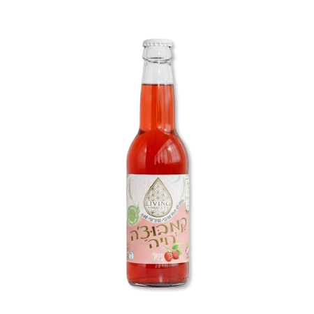 קמבוצה חיה משקה תה תוסס פטל