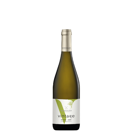 יין לבן וינטג' שרדונה 2024