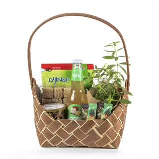 משלוח מנות - אילן